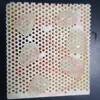 Wissden 5 Pieces Dental Glass Ceramic Press Lithium Disilicate Ingots Dental Lab Materials Same day dispatch can be arranged 5