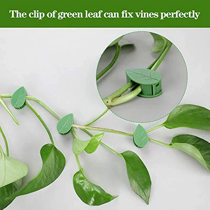 10-30pcs Plant Climbing Wall Fixture Clips Invisible Self-Adhesive Hook Vine Traction Home Garden Decor plastic plant clips,plant clips,plant adhesive hooks,plant wall hooks