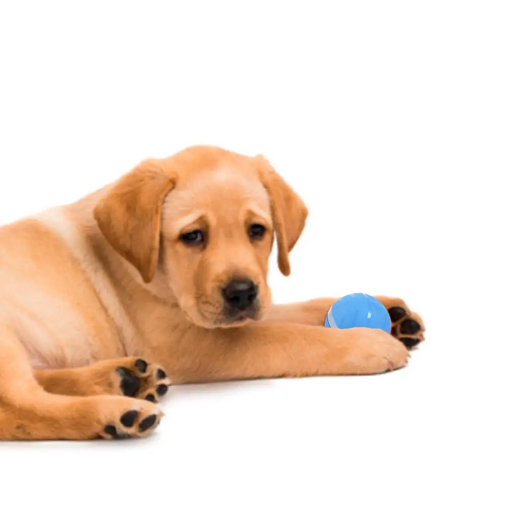Led Pet Motion Ball