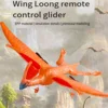 RC Plane Remote Control Pterosaur 2.4Ghz 2 Channels DIY RC Pterosaur Control EPP Foam Glider Toys (Two Batteries) B 6