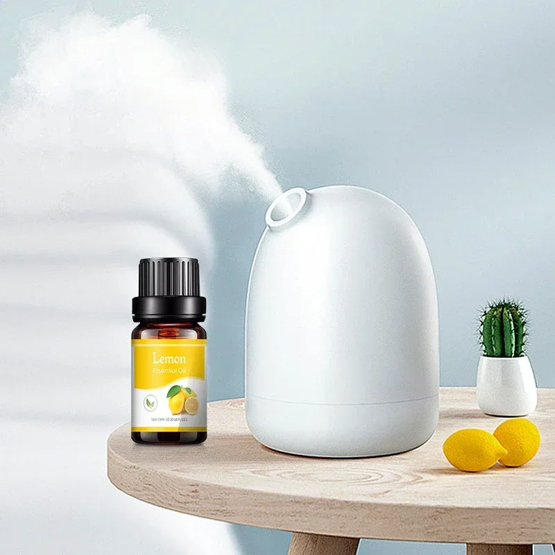 Lavender Essential Oil - Natural Plant-Based Fragrance for Diffusers & Air Fresheners, 10ml