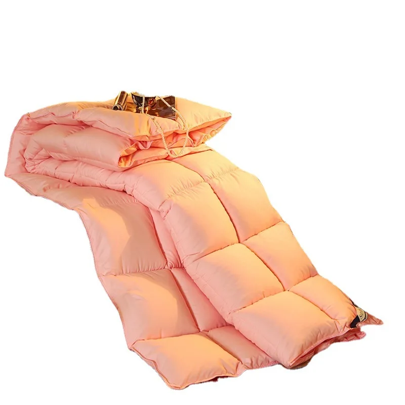 Down Duvet Cotton Winter Duvet Goose Down Duvet Core Student Thick