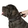 Genuine Leather Dog Collar Durable Real Leather Training Collars For Medium Large Dogs Pets Pitbull With Quick Control Handle 5