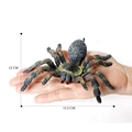 Tarantula B