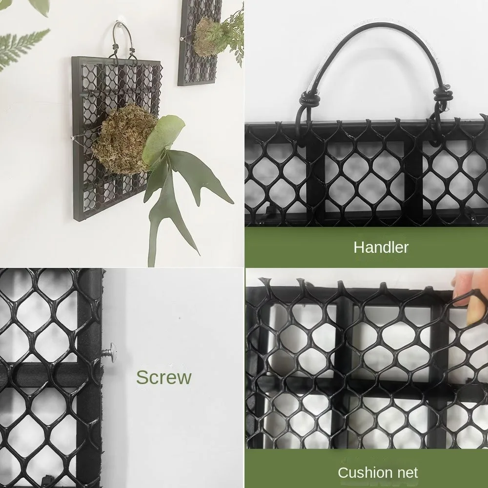 Black Thickened Staghorn Fern Board Dendrobium Orchid Fern Planting Board Decorations Plastic Gardening Hanging