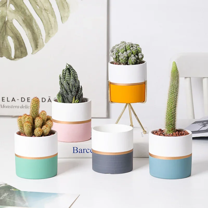

Creative Plant Stand Desktop Wrought Iron Flower Pots with Breathable Bottom Hole Indoor Gardening Combination Stand Ecofriendly