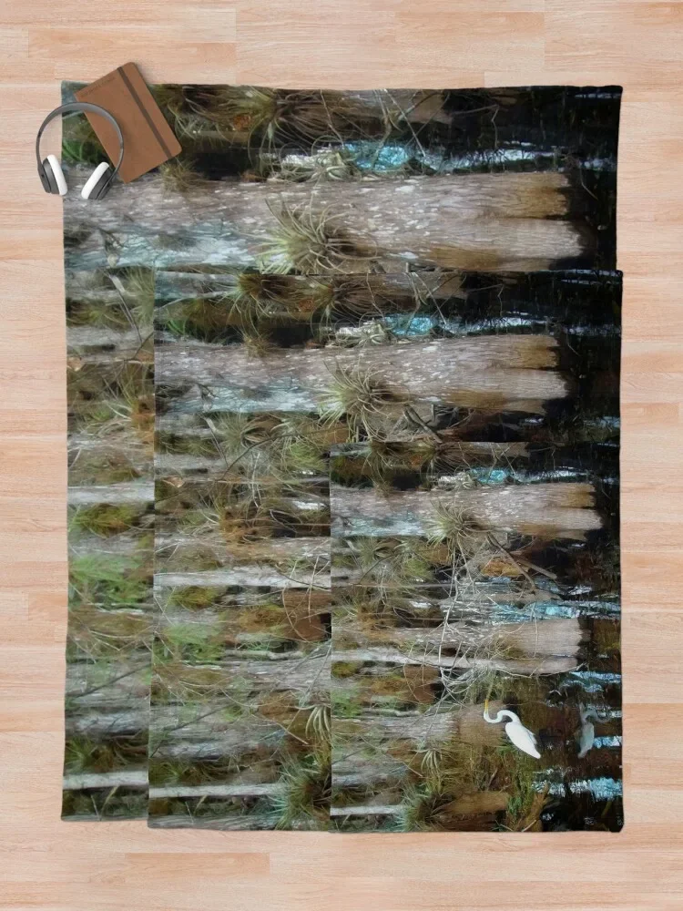 �ٸ��� �̺� ��� ������, �÷θ����� �� ���������� ���ų� ��������, ū �Ϸ�