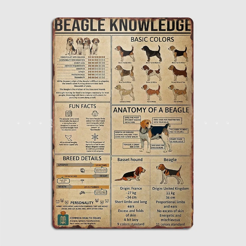 

Beagle Dog Knowledge Poster Metal Plaque Poster Club Home Bar Cave Classic Plaques Tin Sign Posters Room Wall Decor