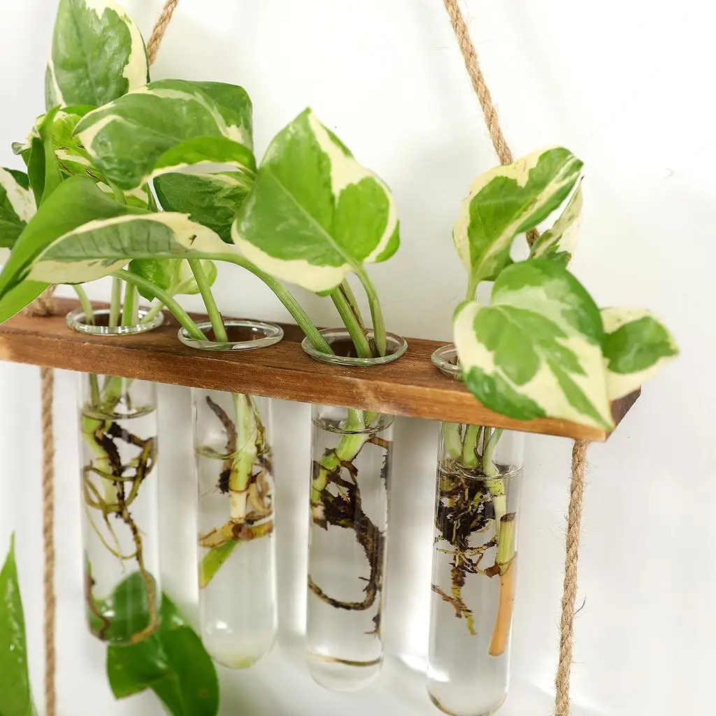 

Wall Hanging Glass Vase Flower Plant Hydroponics Bottle Test Tube Container