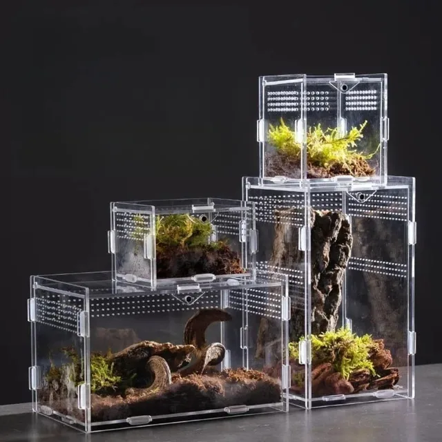 Durable Acrylic Reptile Habitat Clear Multiple Size Lizard Breeding Box Arboreal Anti-Escape Small Pet Cage for Chameleon Durable Acrylic Reptile Habitat Clear Multiple Size Lizard Breeding Box Arboreal Anti-Escape Small Pet Cage for Chameleon