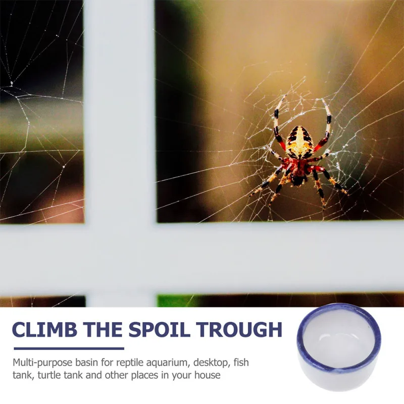 Title 3, Spider Water Bowl, Ceramic Dish Tarantula Water...