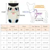 Cycling Walking Sphynx Cat Carrier for Cats Breathable Pet Backpacks Kitten Garfield Carrying Bags mascotas Travel Accessories 2