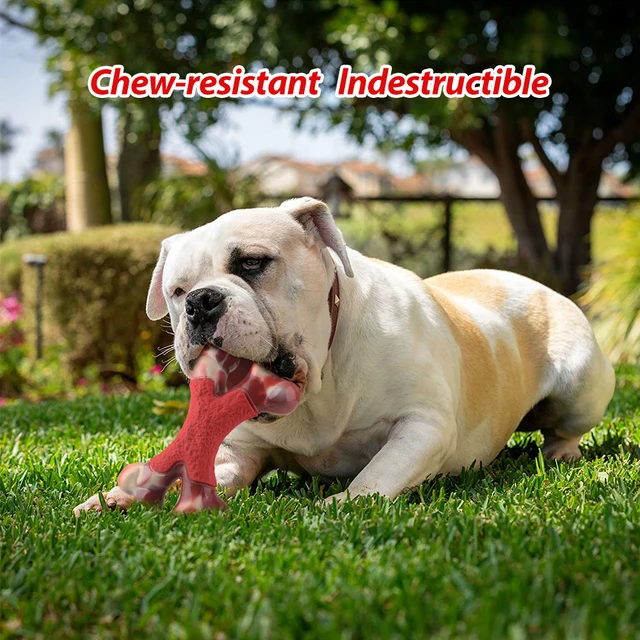 os a macher chien jouet à mâcher Durable pour chien, cadeau interactif en caoutchouc, Double os – Image 3