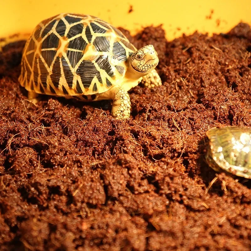 600g Reptile Coconut Soil Natural Coconut Fiber Substrate Lizard Tortoise Reptile Bedding Soil Terrarium Bottom Supplies