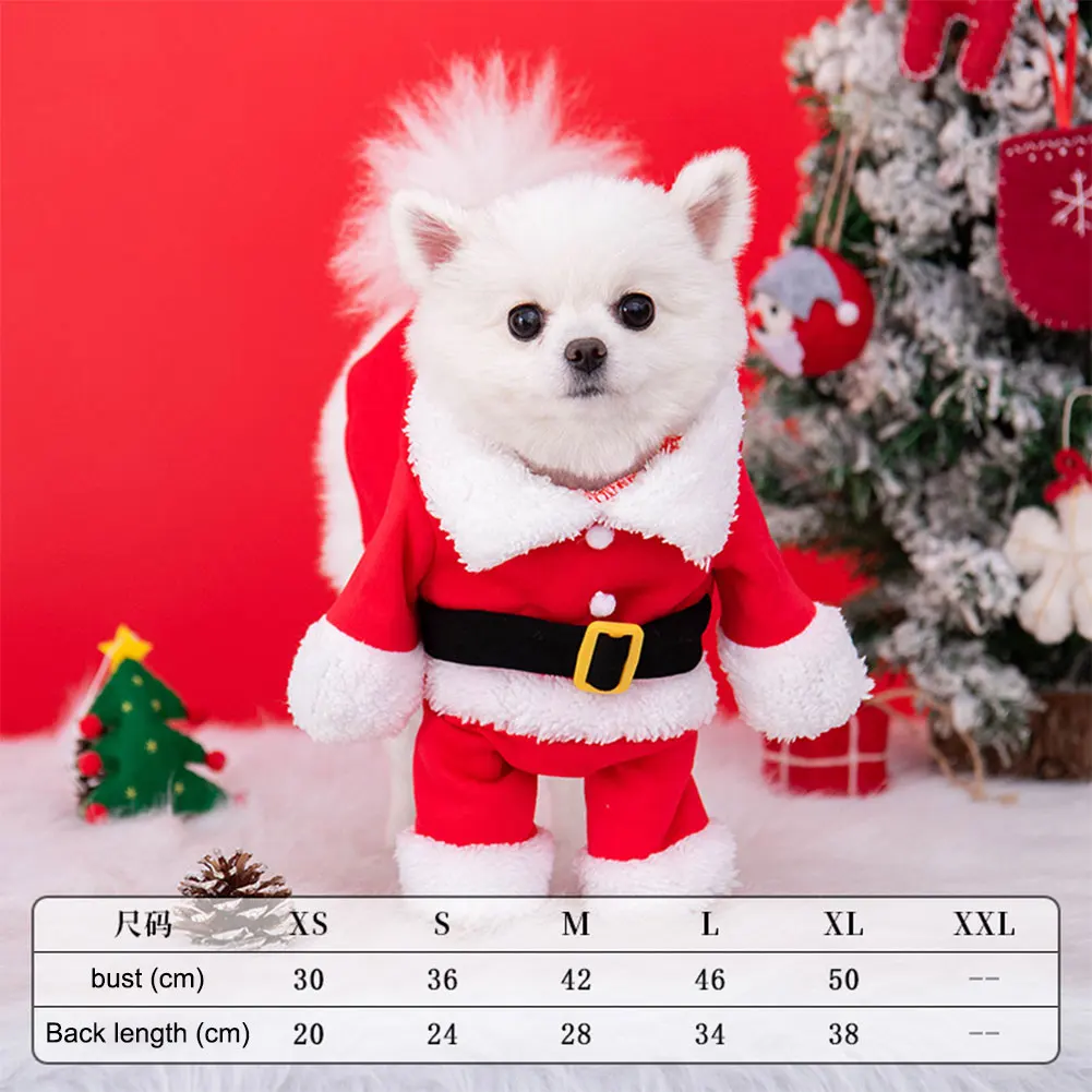 Santa Pet Costume
