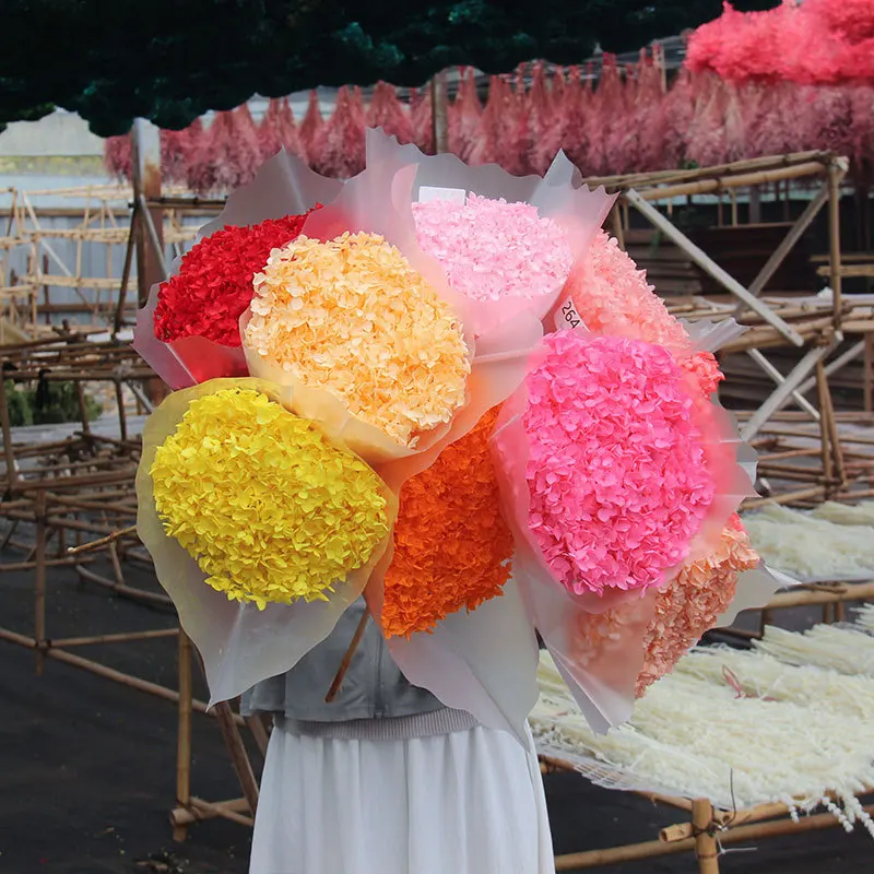 Ortensie Essiccate Aqumotic Floral Boho Flowers Hoya Carnosa 1Pc 7.8 "Naturales Ball Flower Per Soggiorno Home Decor Plants