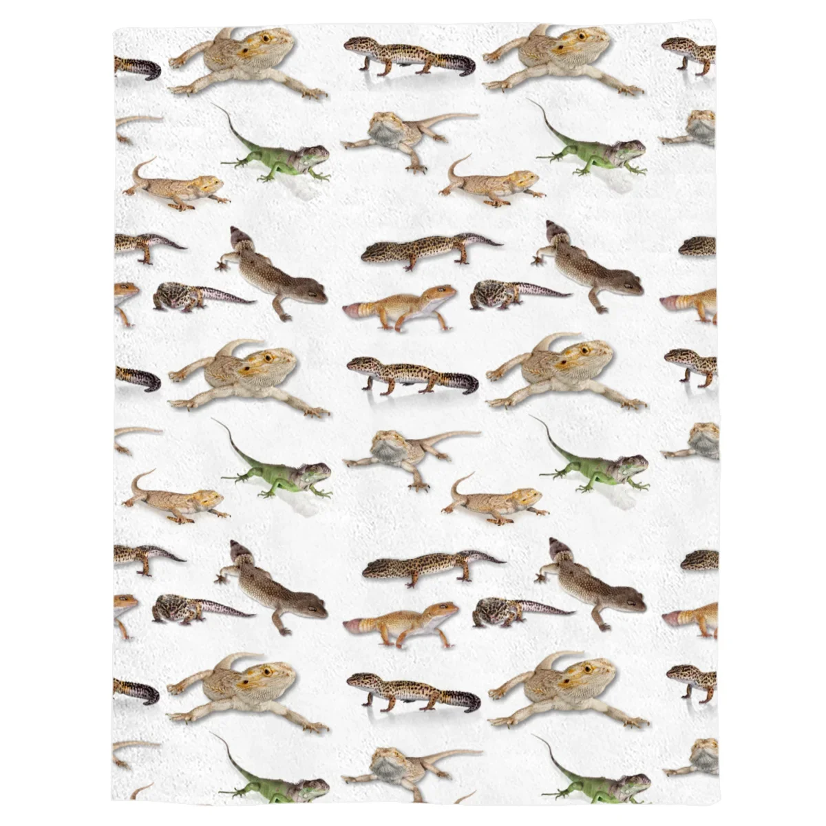 ������ ����� ħ�� Ŀ�� ħ�뺸 ��� ������ Ŀ�� ��, ���� ���� ��Ű �ø���, ������ ����ũ�� ��⼺ �� ������