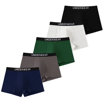 5 pezzi di biancheria intima mista per ragazzi 8-14 anni tinta unita nero grigio blu cotone morbido traspirante confortevole semplice ragazzo angolo piatto Un 1