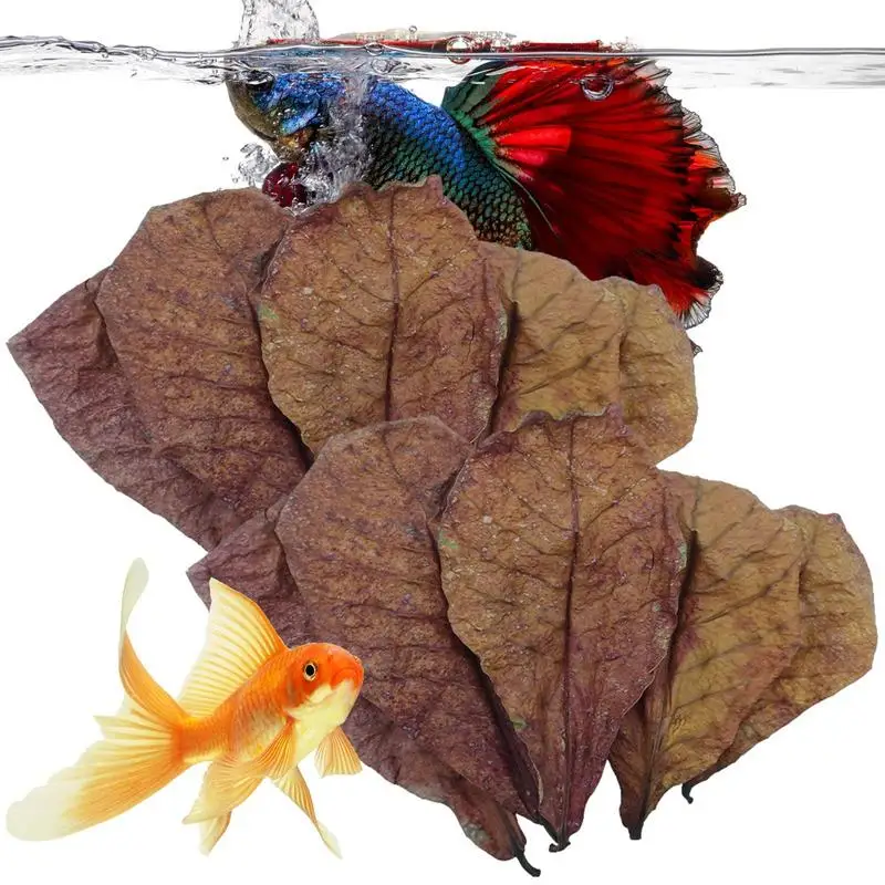 Terminalia Foglie Di Catappa Betta Foglie Di Gamberetti Ph Balance Condizionatore D'Acqua Per Tartarughe D'Acquario Gamberetti Pesce Gatto Habitat
