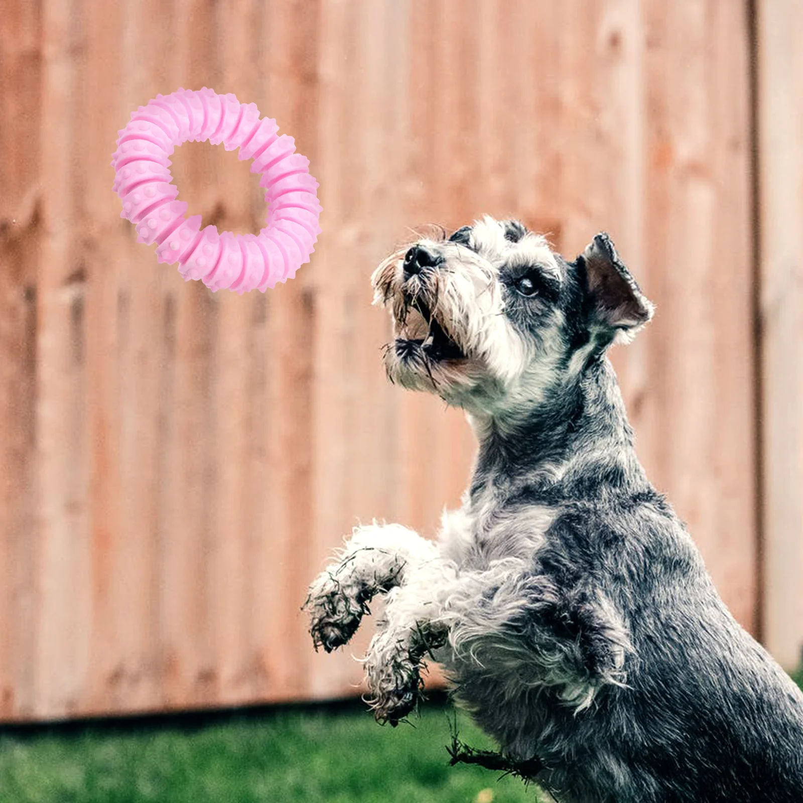 

Dog Throwing Circle Toy Dog Training Chew Toy Outdoor Dog Circle Toy with Thorns