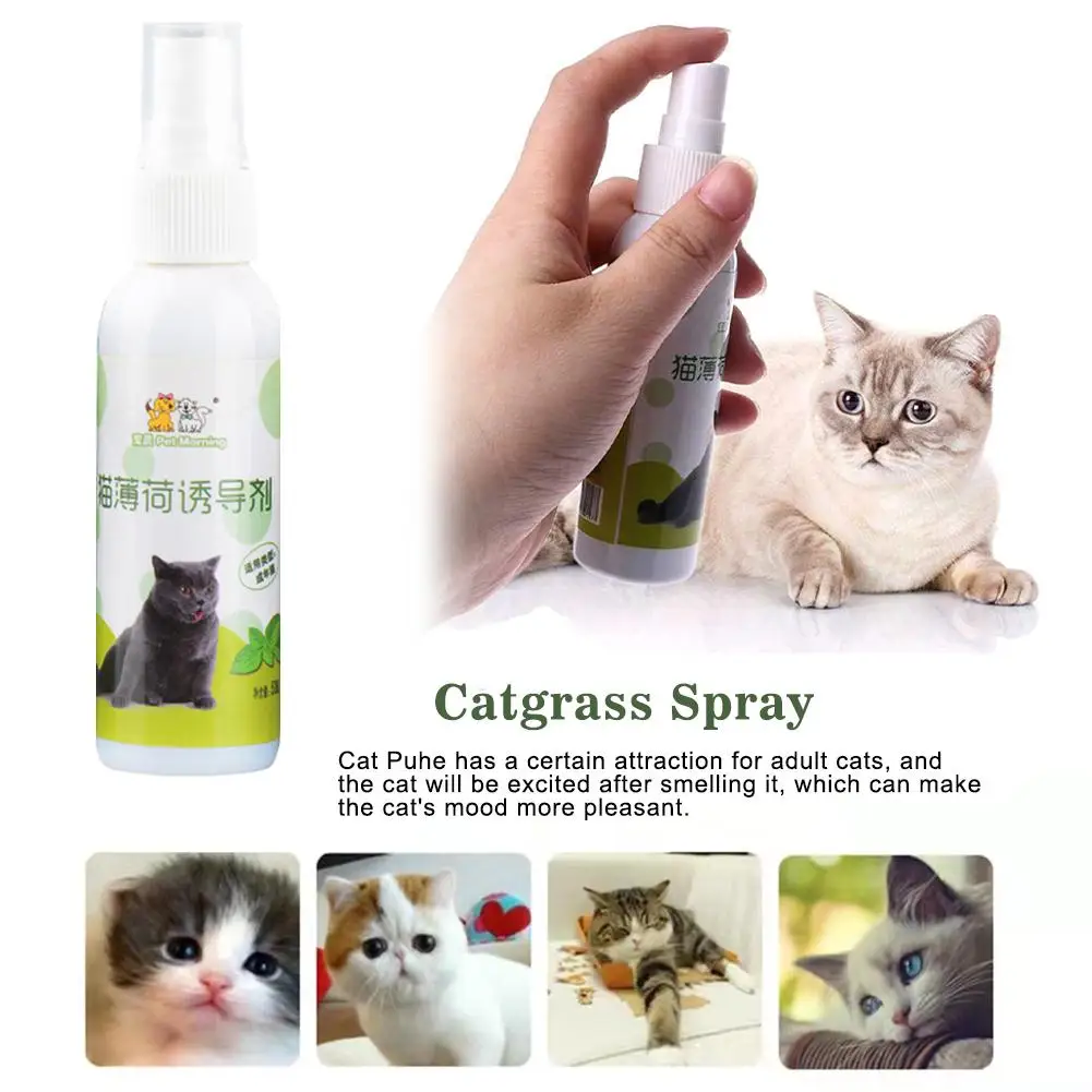 Cat Catnip Spray 50ml Cat Catnip Spray Natural Healthy Safe Long-term Effect Soothe Mood Scratching Pad Inducer Pet Training Spray Pet Supplies