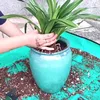 1pcs Planting Mat 50cm-100cm Gardening Potting Pad Foldable Garden Plant Flower Pot Transplanting Waterproof Mats 5