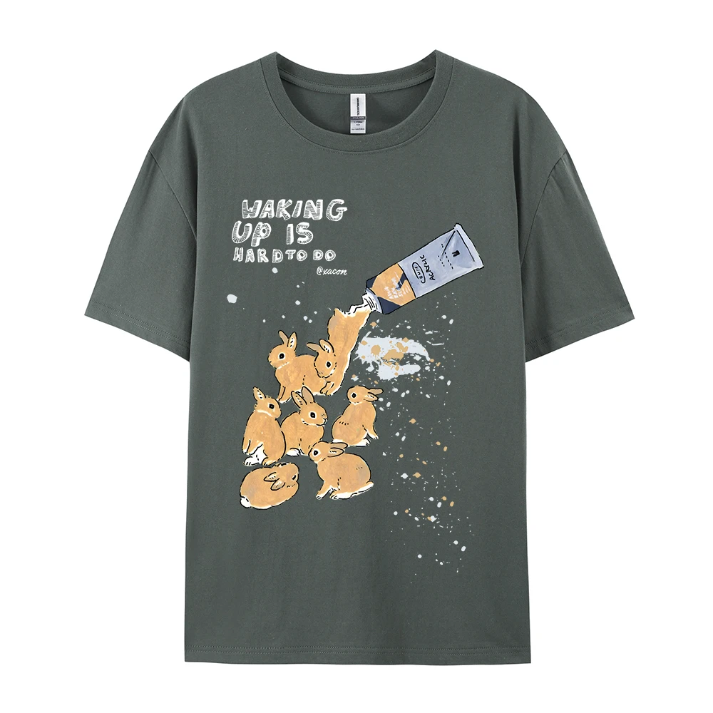 Amerikanisches Retro-Kaninchen-Druck-Kurzarm-T-Shirt für Damen und Herren im Harajuku-Lazy-Style, reine Baumwolle, vielseitiges Rundhals-T-Shirt – Detail 24