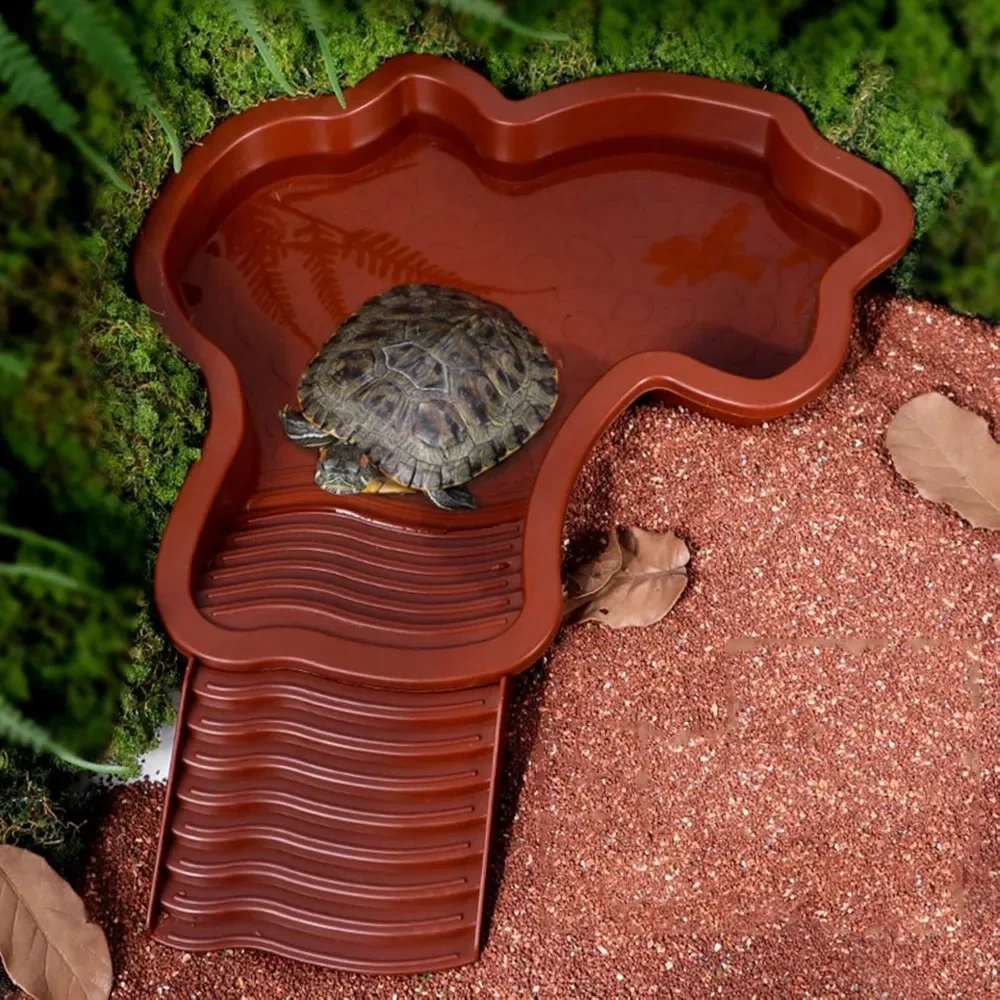 Turtle Bathing Pool Bowl 1