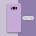 Grass Purple