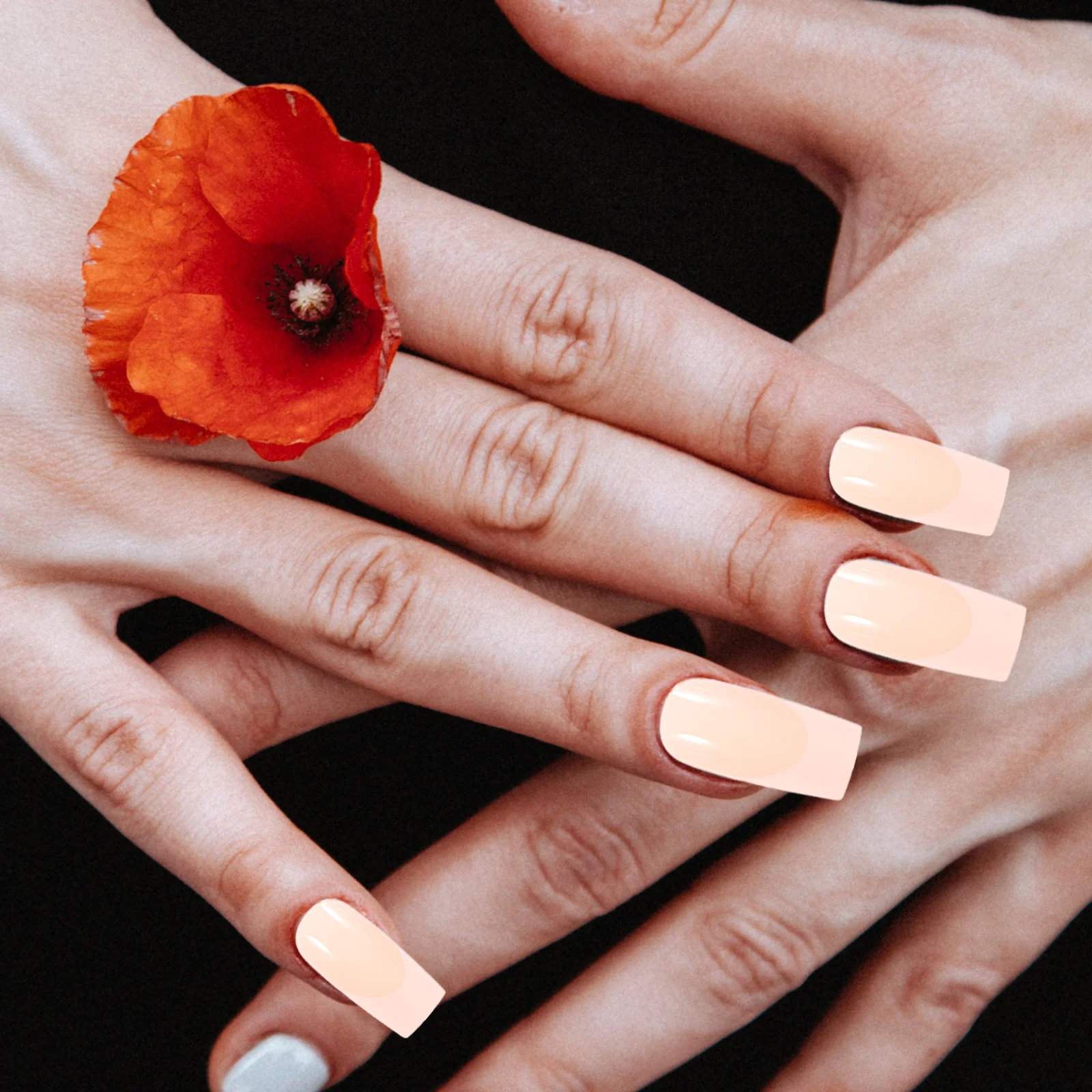 

24pcs Press on Nails Fake Nails False Nails Glue on Nails Women nail tips