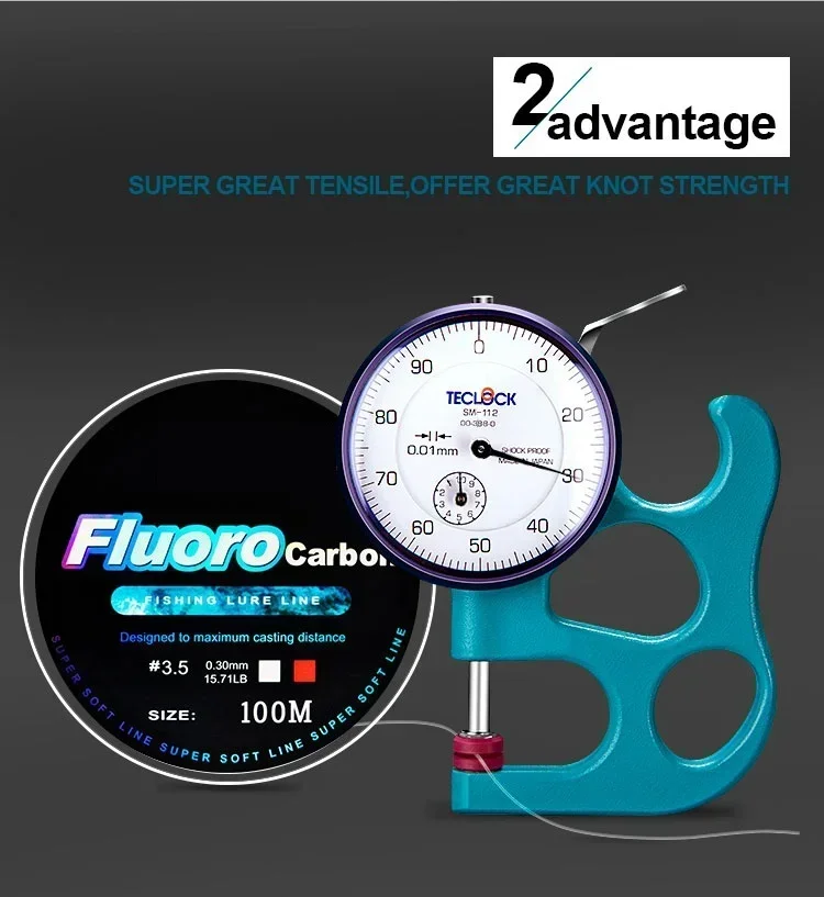 FLYSAND Fishing Line 100M Fluorocarbon Coating 4.13LB-34.32LB Carbon Fiber Monofilament Leader Line Carp Fishing Sinking