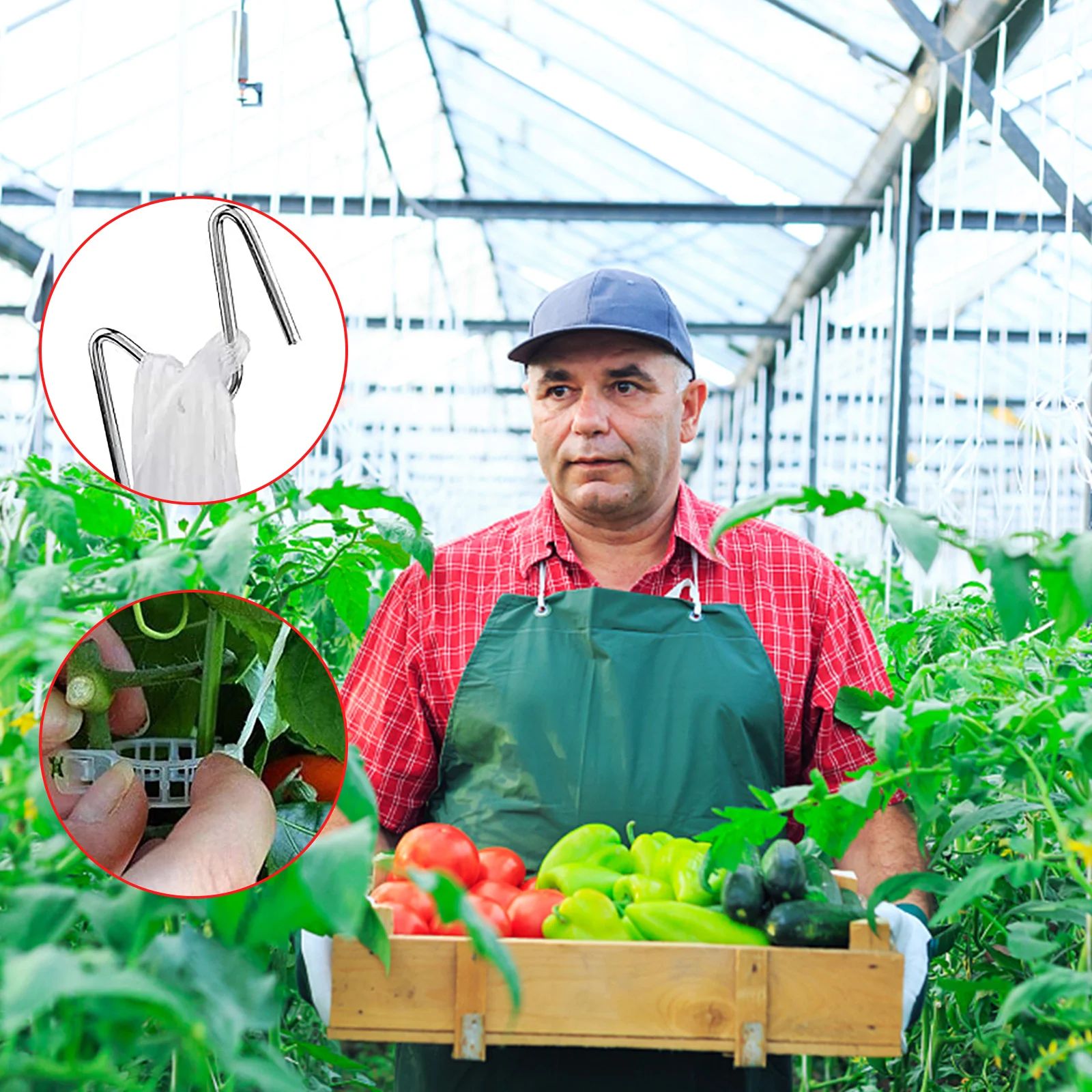 10Pcs Plants Hooks & Clips Tomato J Hooks Clips Set with 10M Rope Tomatoes Growing for Tomato Grape Pepper plant clips,plastic plant clips,plant adhesive hooks,plant wall hooks