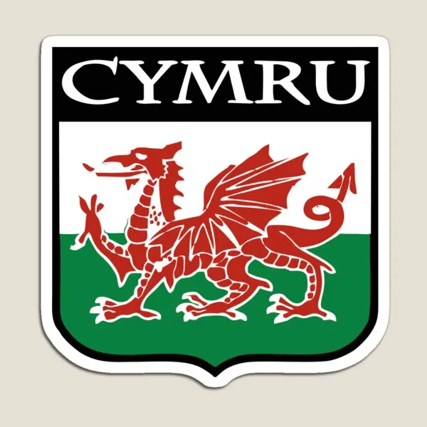 

Магнитный детский магнитный держатель для холодильника Cymru