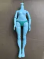NO.23 green body