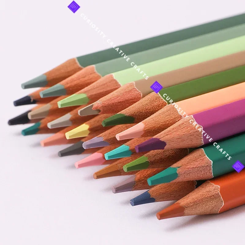 24/36/48color Oil Pastel Color Pencil Set Morandi Macaron Manga Colored  Charcoal Pencils Professional Artist Art Supply 유성색연필