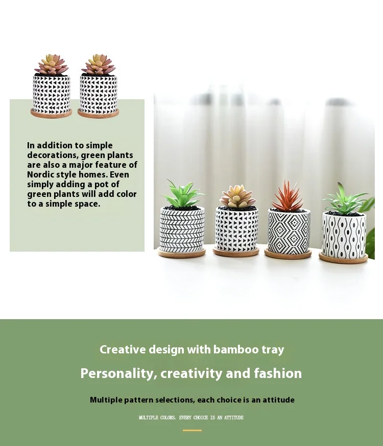 Flower Ceramic Pots Round Geometric Patterns With Hole Creative Funny Succulent Potted Amazon Best-selling Interiores D-3inches - 3