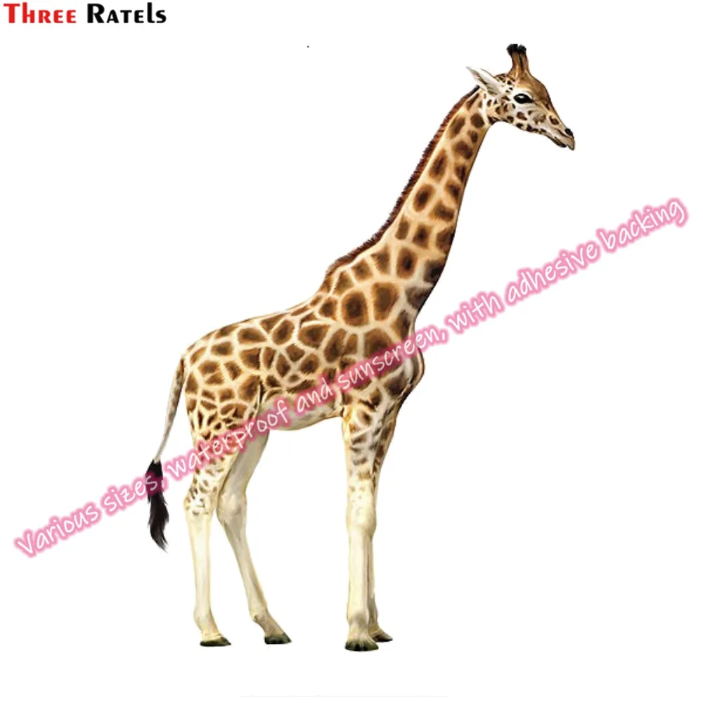 Рисунок 6 - Наклейки Three Ratels N161