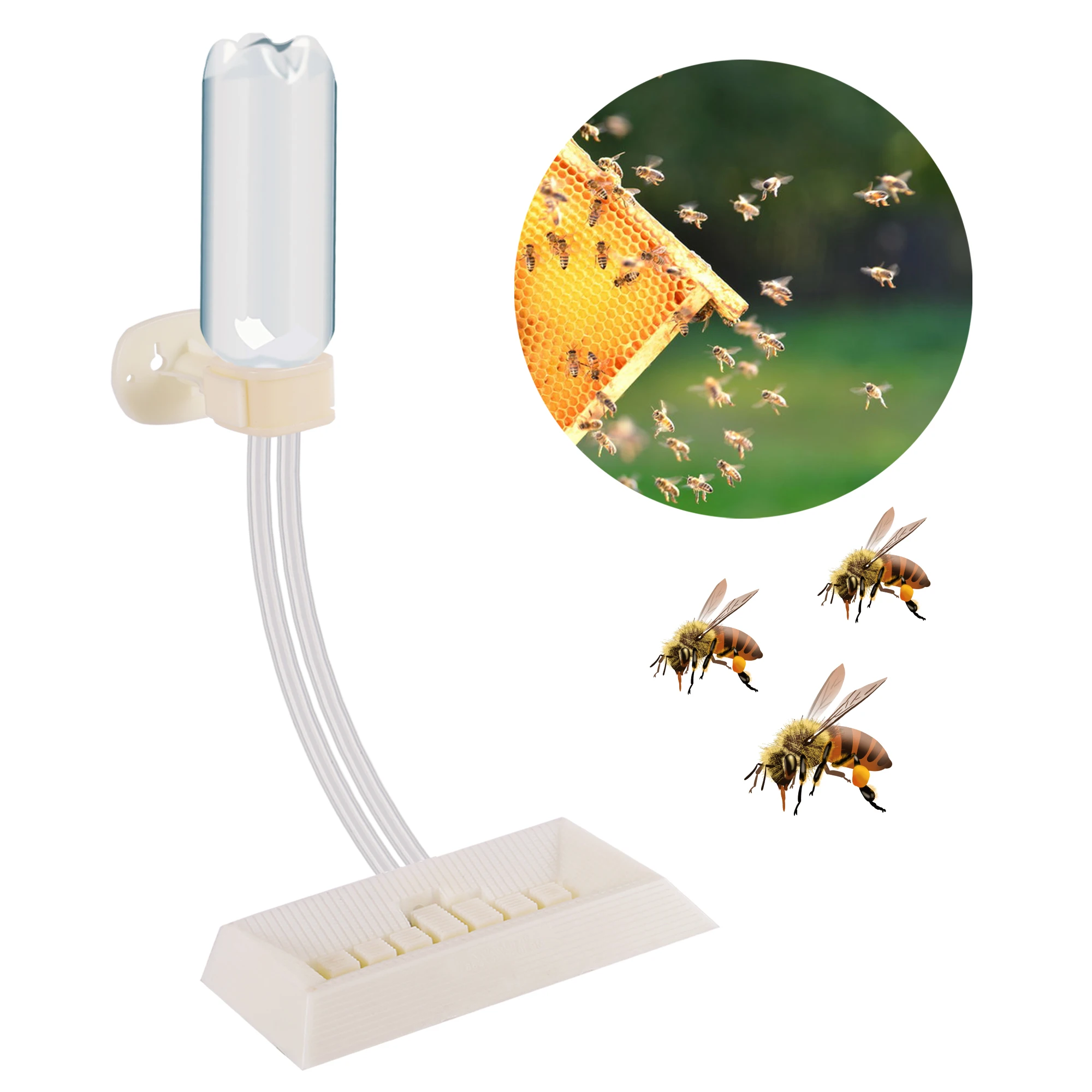 New-Beekeeping-Feeder-Feeding-Inside-Beehive-Plastic-Honey-Sugar-Feed-Trough-Bee-Tool-Supplies-Bee-Feeder.jpg Új Méhészeti Adagoló Táplálék A Méhkas Műanyag Mézes Cukor -Takarmány -Vályú Szerszámkészletek Méhes Méhész Eszköz 1Pc - Image 6