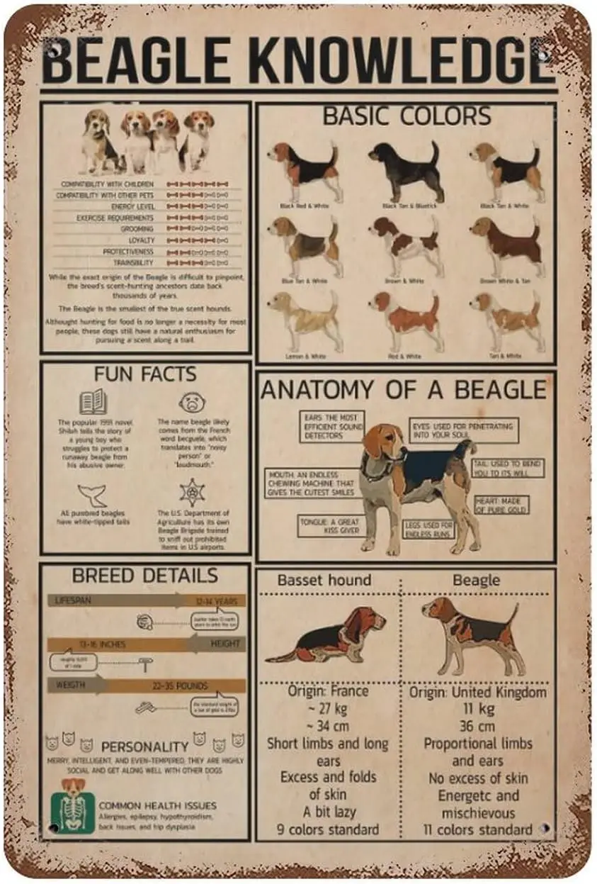 Vintage Metal Tin Sign Beagle Knowledge Dog Lover Gift Segno Di San Valentino Divertente Novità Kitchen Bar Club Garage Garden