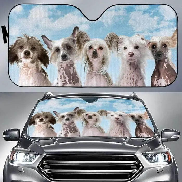 

Funny Chinese Crested Dogs Blue Sky Pattern Car Sunshade, Cute Chinese Crested Dog Team Sky Background Auto Sun Shade, Visor for