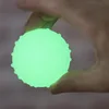 Funny Dog Chew Ball TPR Elastic Luminous Balls Small Dogs Teeth Cleaning Leakage Food Toy Glow in The Dark Ball Pet Toys 6