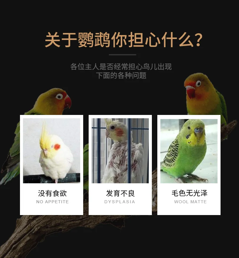Smart Parrot Food Natural Food for Parrots Good fir Feather Premium Blend of Seeds