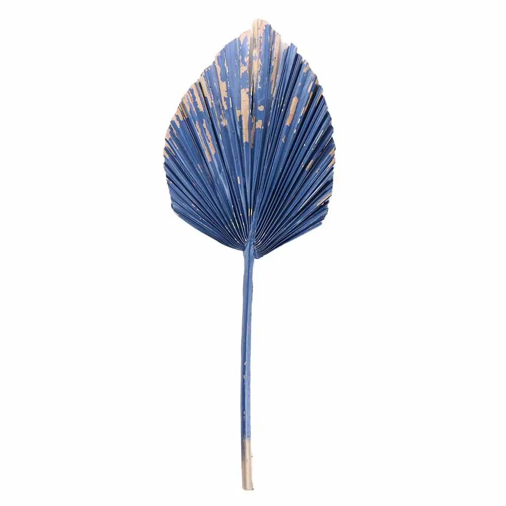 Description Picture 3 of item1 Pcs Bohemian Tropical Fan Leaf Colorful Palm Spears Dried Plant DIY Natural Trimmed Party Decoration Leaves