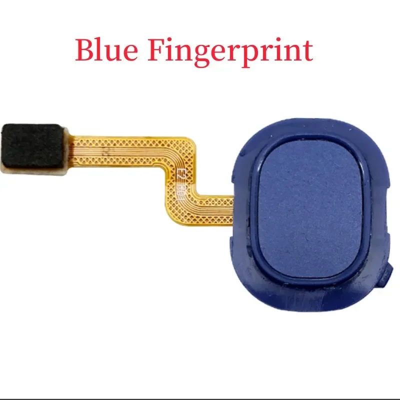 Blue Fingerprint