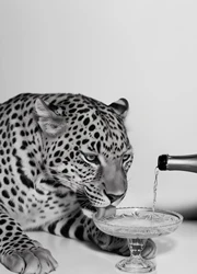 Leopard Elegance: Black and White Luxury Canvas for Sophisticated Home Decor (By - 5)