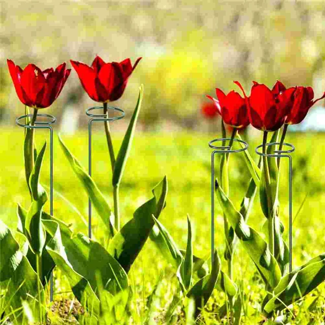 Támogassa A Kerti Rácsos Mászó Növényeket Beltéri Vasvirág Dekorációk Para Sala - Image 4