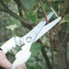Pruning Garden Scissors Professional Garden Trimmer Orchard Scissors Hand Tools Bonsai Gardening Chopper Pruning Scissors 5