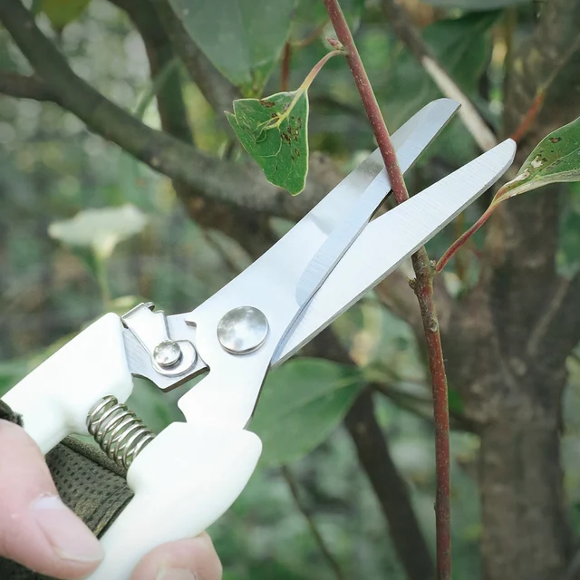 Pruning Garden Scissors Professional Garden Trimmer Orchard Scissors Hand Tools Bonsai Gardening Chopper Pruning Scissors 5