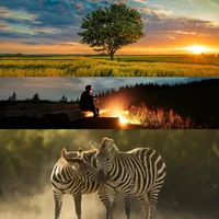Lightdow 420-800mm f/8.3-f16 Manual Telephoto Zoom Lens for Canon EOS R1 80D T3 T4 T5i T6 Nikon Sony Olympus Pentax DSLR Cameras - Image 5