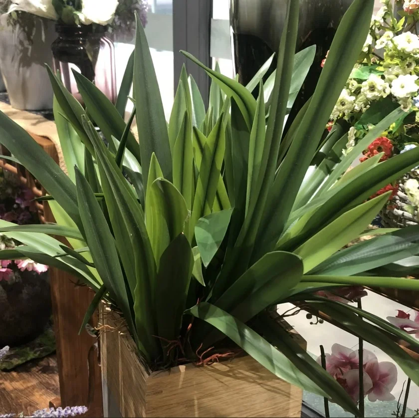 Лист орхидеи Gladiolus Cymbidium Hyridus, цветочный художественный материал Whelan, высококачественный силикон, настоящее прикосновение, S, M, L